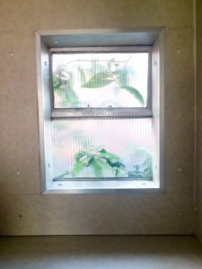 Window Photogram